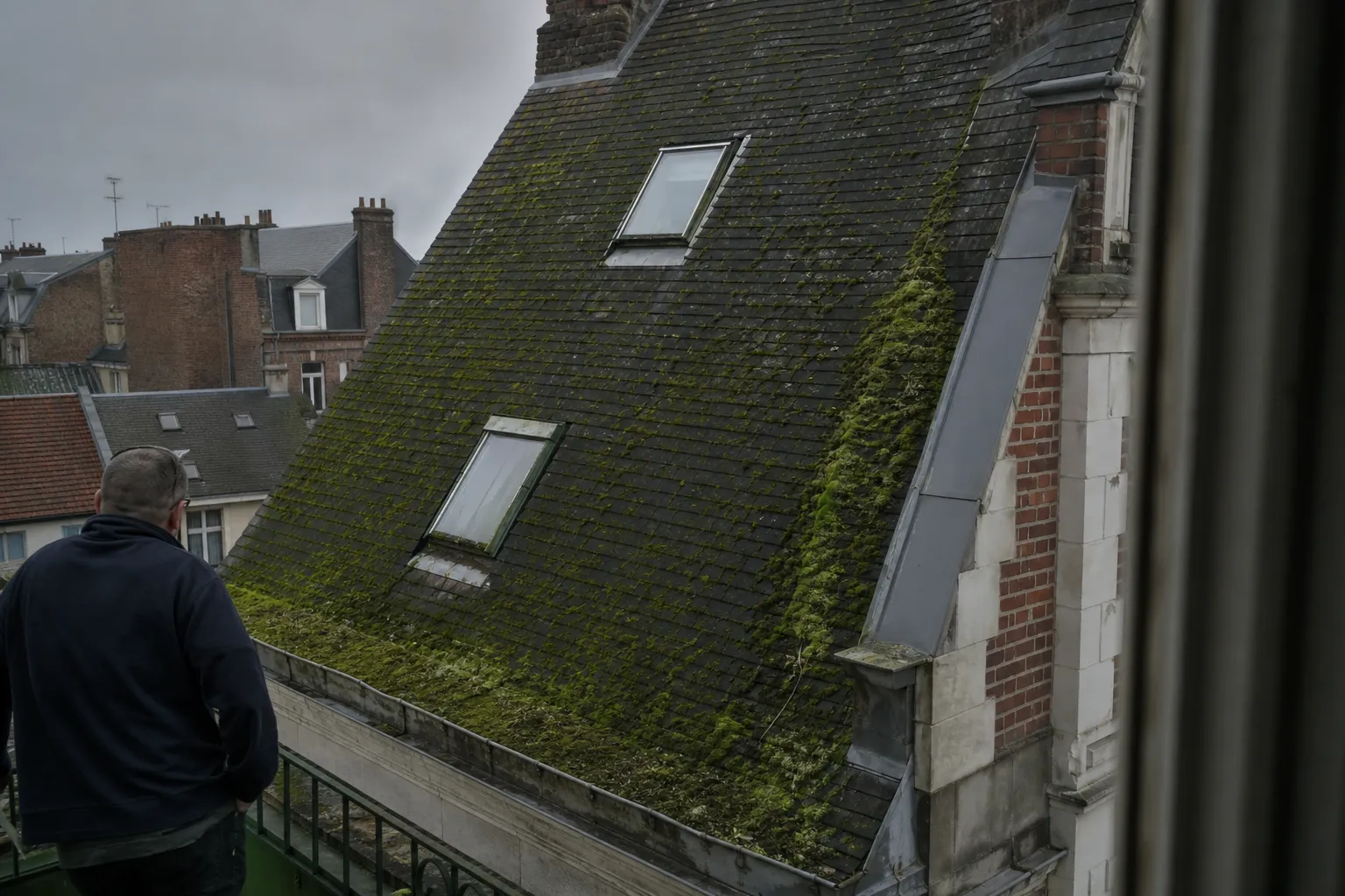 Brossage manuel d’un versant moussu, mousse détachée s’accumulant en bas de pente